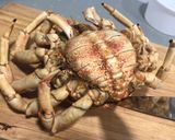 Foto del paso 5 de la receta: Centollo (cómo cocerlo)
