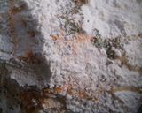 A picture of step 2 of Fried Litti With Aloo Baigan Chokha.