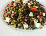 Foto del paso 9 de la receta: Ensalada de lentejas con emulsión de aceite de oliva virgen extra, vinagre y limón