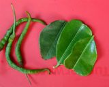 Foto langkah ke 4 dari resep Sayur bening daun /pucuk kedondong pagar.