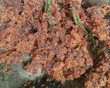 Foto langkah ke 1 dari resep Kue Dadar.