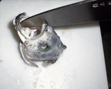 Foto del paso 7 de la receta: Arajiru de Seabass (シーバスのあら汁)