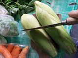 28. VEGETABLE FROZEN