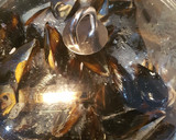 Foto del paso 1 de la receta: Mejillones en salsa de tomate