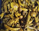 Foto del paso 1 de la receta: Hongos de Eucalipto en Escabeche