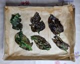 Foto del passaggio 5 della ricetta Capasanta su maionese di corallo
