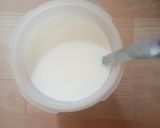 Foto langkah ke 4 dari resep Yogurt homemade.