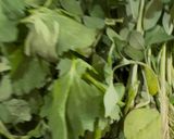 A picture of step 1 of Sarson ka saag.
