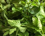 Une image de l'étape 1 de Sirop de menthe maison avec la menthe du jardin.