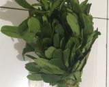 Foto langkah ke 1 dari resep Tumis bakso plus daun ginseng.