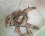 Foto langkah ke 1 dari resep Tumis Ikan Pedas.