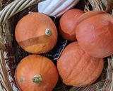 A picture of step 1 of Roast pumpkin / squash (Red kuri variety).