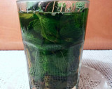 Foto del paso 11 de la receta: Té verde con hierbabuena