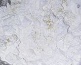 Foto del paso 2 de la receta: Chipas- a mi manera