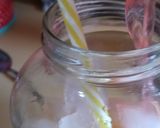 A picture of step 7 of Pina~lemon~berry blast.