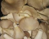 ओस्टर मशरुम कढ़ाई (Oyster mushroom kadhai recipe in hindi) रेसिपी चरण 1 फोटो