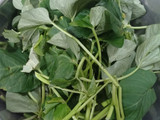Brambang Asem Daun Ubi Rambat