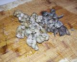 Foto del paso 2 de la receta: Tripas de cerdo en salsa
