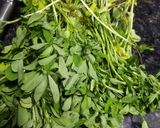 A picture of step 1 of Methi bhaji green garlic pakora.