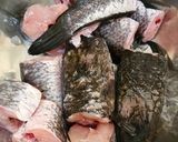Foto langkah ke 1 dari resep Ikan Gabus Goreng.