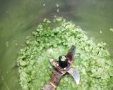 A picture of step 1 of Peas Uttapam.