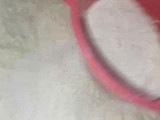 Bolu Tape