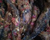Foto langkah ke 6 dari resep Sambal Goreng Lele.