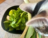 Une image de l'étape 1 de Pâtes aux légumes d'automne.