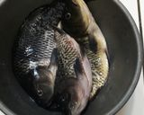 Foto langkah ke 1 dari resep Pepes Ikan Mas.