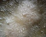 A picture of step 8 of Stuff green peas cutlets.