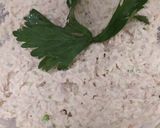 Foto del paso 2 de la receta: Petipan de pollo