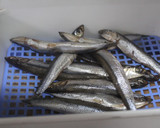 Foto del paso 3 de la receta: Boquerones y peras rebozadas