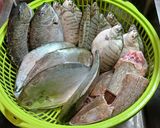 Hình bước làm 1 của món Cá dìa chiên