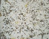 Une image de l'étape 4 de Focaccia.