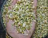 A picture of step 2 of Misal Poha.