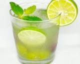 Cara Membuat Virgin Grape Mojito 3