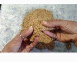 તલ ની ચીકી (Til Chiki Recipe In Gujarati) રેસીપી સ્ટેપ4ફોટો