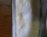Foto del paso 5 de la receta: Budín de manzana fácil