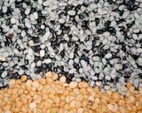 उड़द चना दाल (Urad chana dal recipe in hindi) रेसिपी चरण 1 फोटो