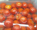 Foto del paso 1 de la receta: Tomate rallado para hacer salsas