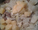A picture of step 2 of Cabbage.