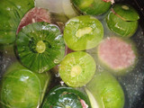 Zapallito relleno