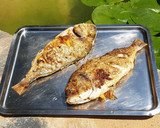 Foto del paso 12 de la receta: Dorada con guarnición de salicornia y verduras