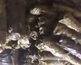 صورة لخطوة 1 من وصفة ورق عنب مطبوخ بطنجرة الطباخ بربع ساعة فقط