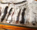 Foto del paso 4 de la receta: Sardinas marinadas, y mermelada de piquillos