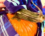 A picture of step 2 of How to Carve a Pumpkin for Halloween!.