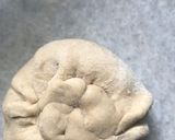 A picture of step 3 of Oats Potato Dhabha style Paratha.