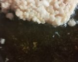Foto langkah ke 3 dari resep Ayam pok pok.