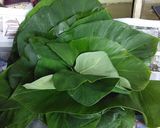 Foto langkah ke 2 dari resep pepes tongkol daun lompong.