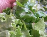 Foto del paso 1 de la receta: Ensalada Montoya